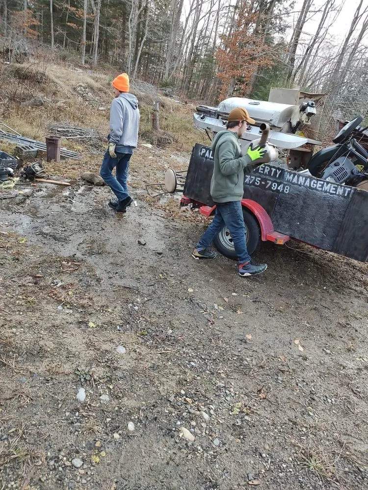 Expert yard maintenance for residential properties across Mechanicville, NY - Palitsch Property Management