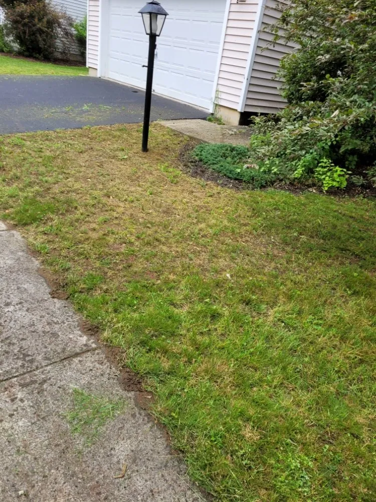 Professional garden landscaping experts serving Mechanicville, NY - Palitsch Property Management