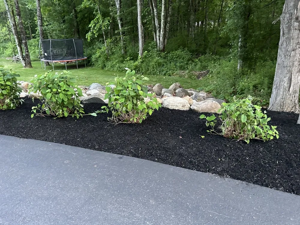 Professional landscape design in Mechanicville, NY - Palitsch Property Management