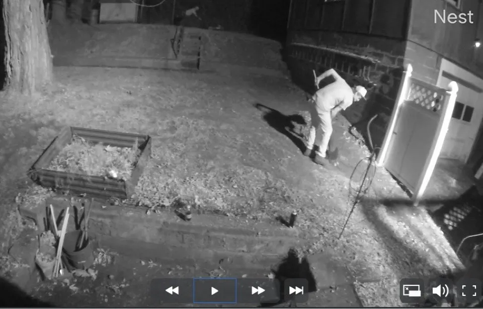 Professional lawn mowing service in Mechanicville, NY by Palitsch Property Management