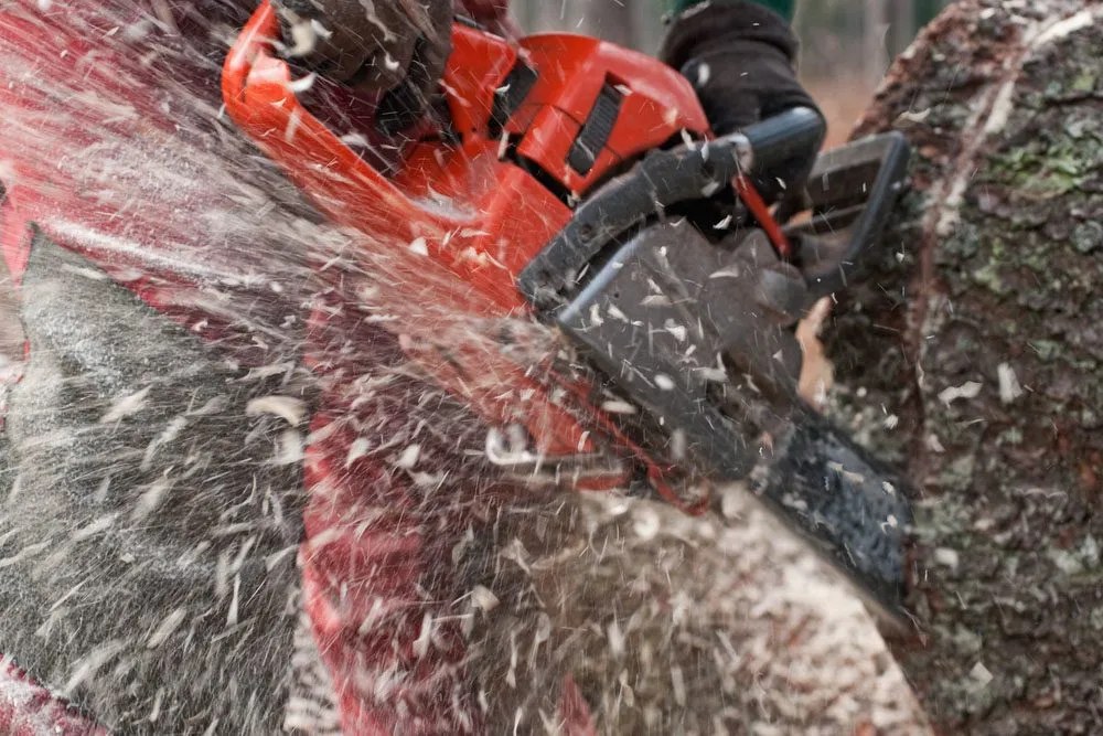 Trusted outdoor landscaping in Valatie, NY by Palladino Lawn Care Landscape Construction & Site Work