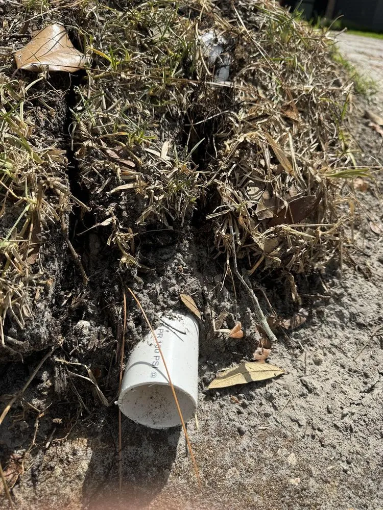 Professional yard maintenance in Saint Johns, FL - Pallai Services