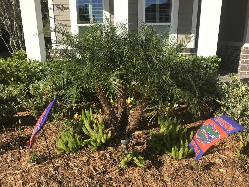 Affordable lawn mowing service experts serving Saint Johns, FL - Pallai Services