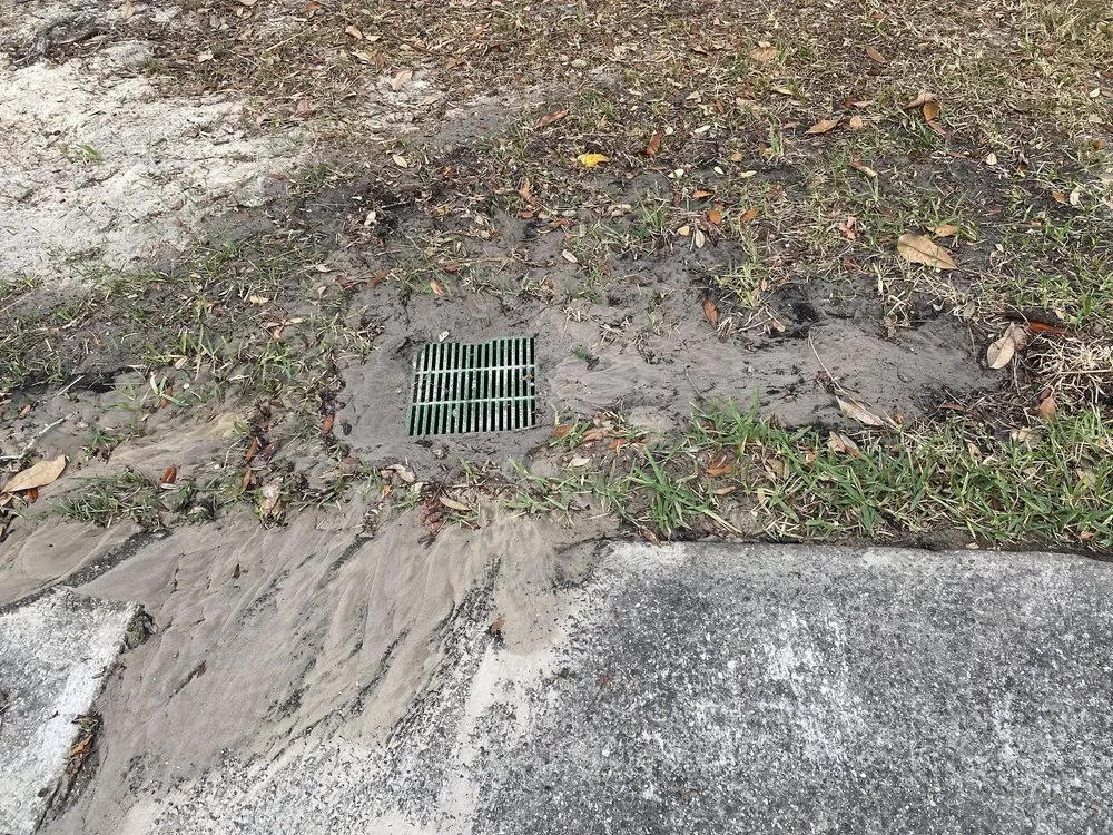 Reliable landscape installation for homes in Saint Johns, FL by Pallai Services