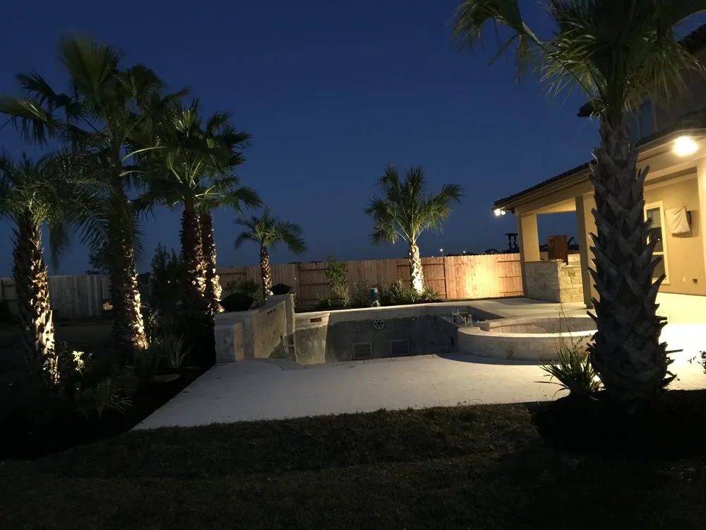 Top-rated lawn care service in Waller, TX - Palm & Trees Landscape