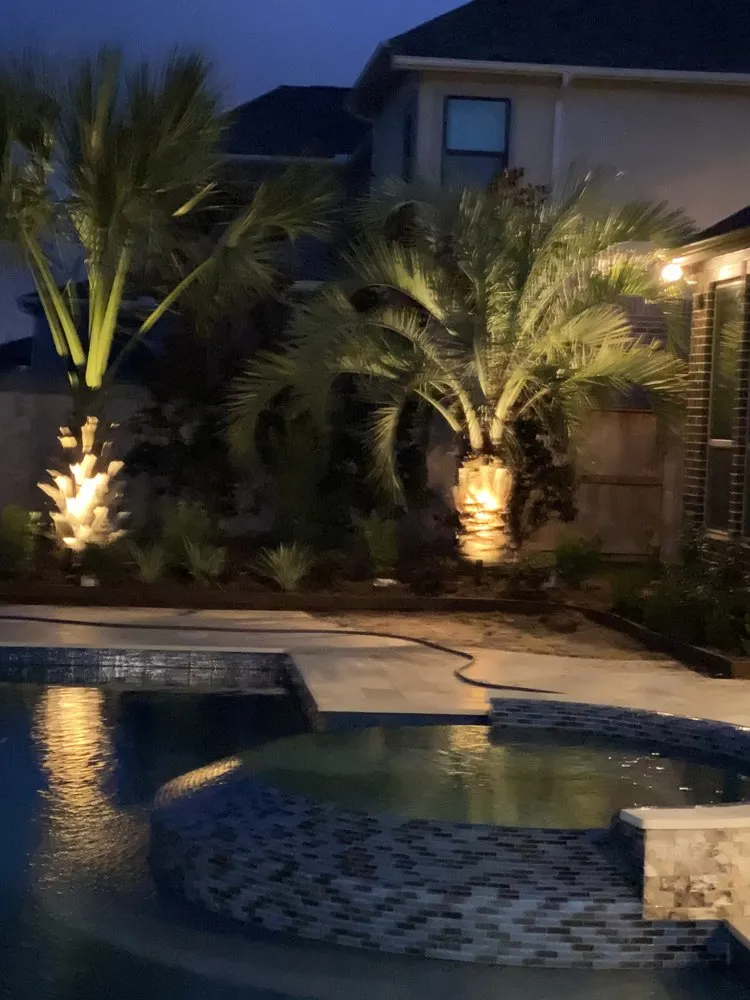 Trusted lawn care service in Waller, TX - Palm & Trees Landscape