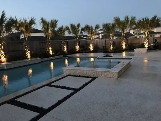 Palm & Trees Landscape