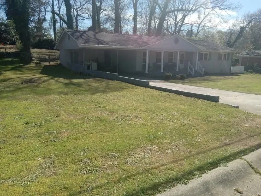 Local yard cleanup service experts serving Warner Robins, GA - Palm Bay Landscaping