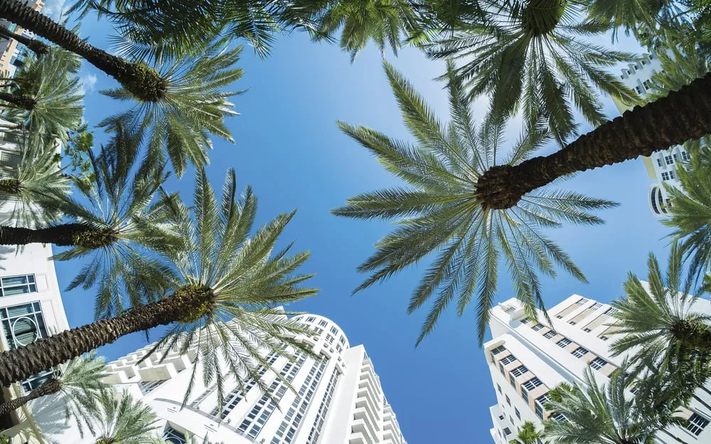 Expert landscape design experts serving West Palm Beach, FL - Palm Beach County Landscape