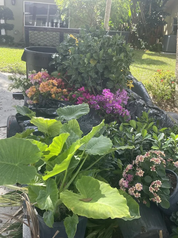 Top-rated garden landscaping in Lake Worth, FL by Palm Beach Gardening & Design