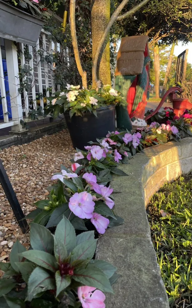 Affordable yard cleanup service for residential properties across Lake Worth, FL - Palm Beach Gardening & Design