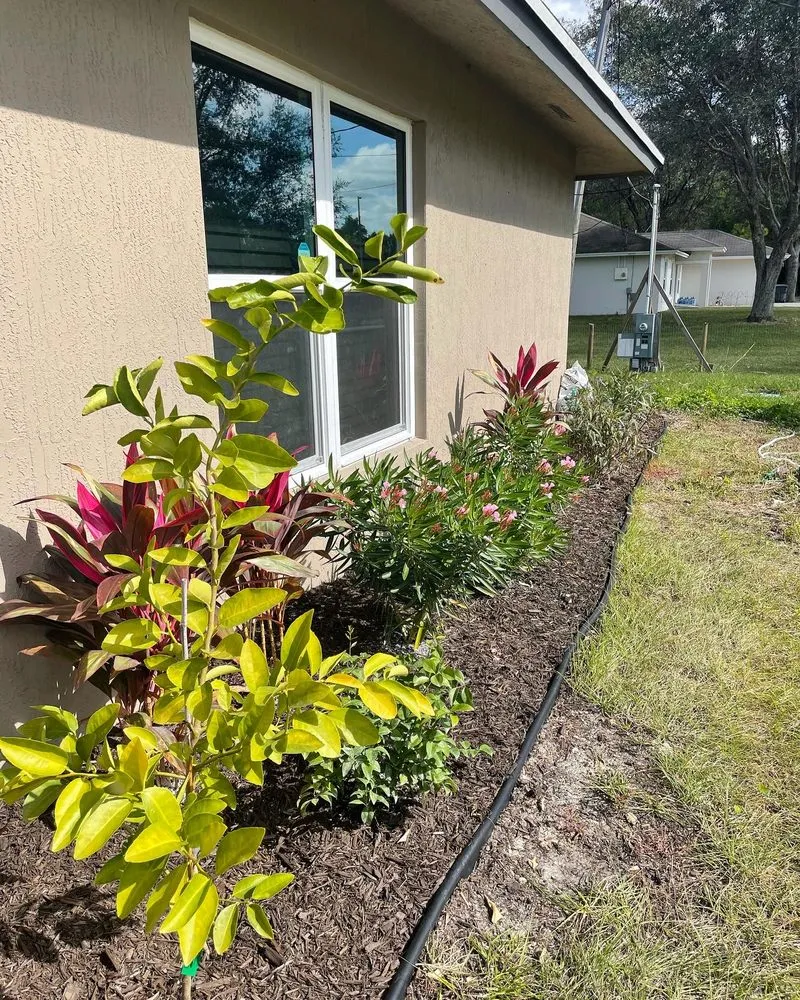 Expert landscape design in Lake Worth, FL by Palm Beach Gardening & Design