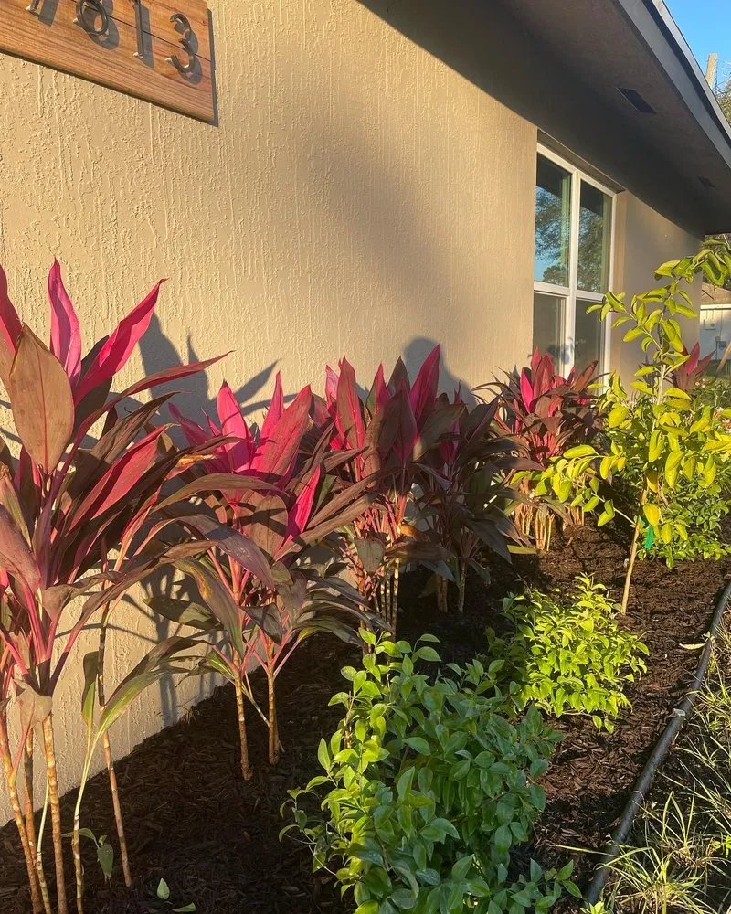 Expert lawn care service in Lake Worth, FL - Palm Beach Gardening & Design