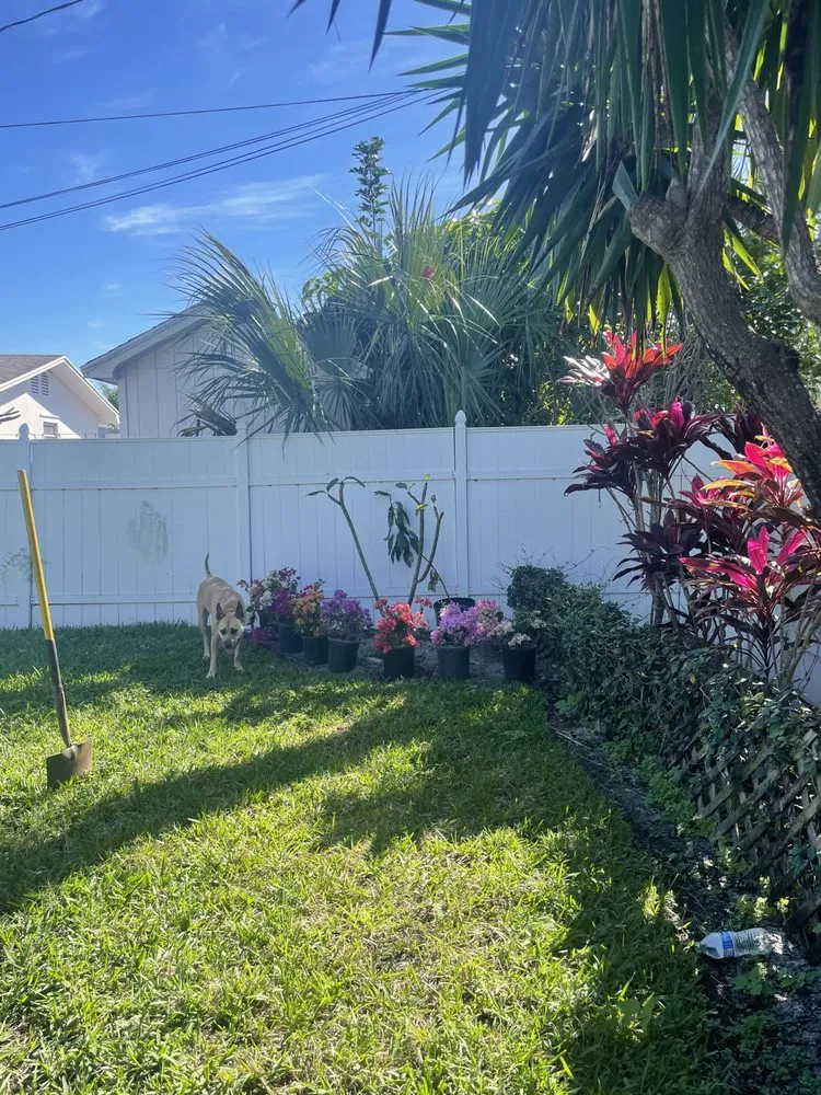 Professional yard cleanup service experts serving Lake Worth, FL - Palm Beach Gardening & Design