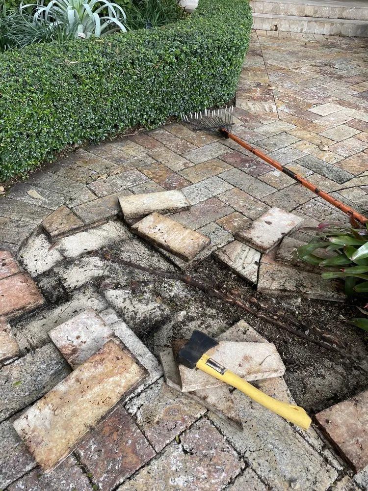 Top-rated landscape design for year-round maintenance across Lake Worth, FL - Palm Beach Gardening & Design