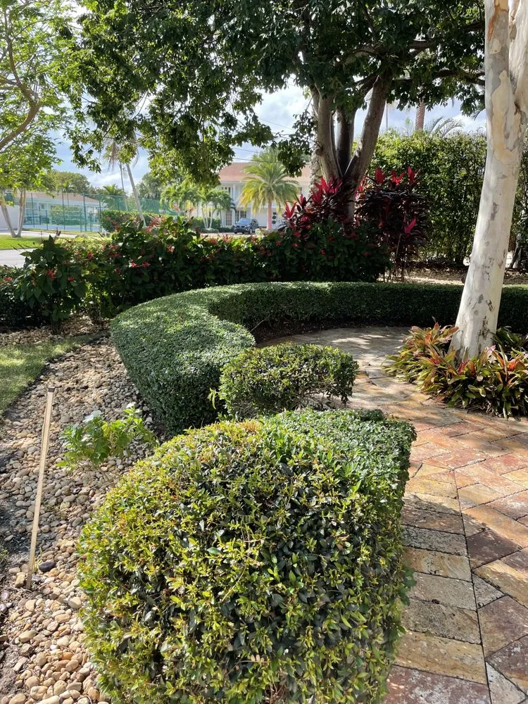 Local yard cleanup service for year-round maintenance across Lake Worth, FL - Palm Beach Gardening & Design