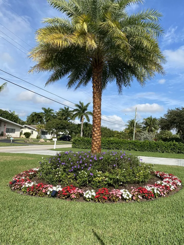Expert outdoor landscaping with custom design across Lake Worth, FL - Palm Beach Lawn Care