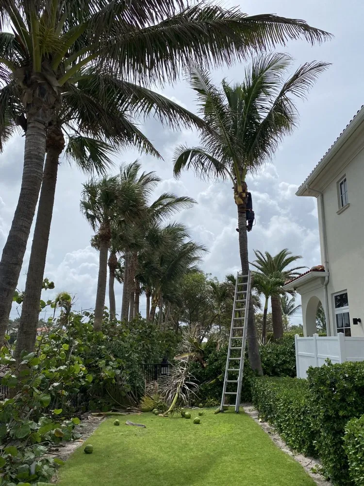 Expert yard maintenance in Lake Worth, FL - Palm Beach Lawn Care