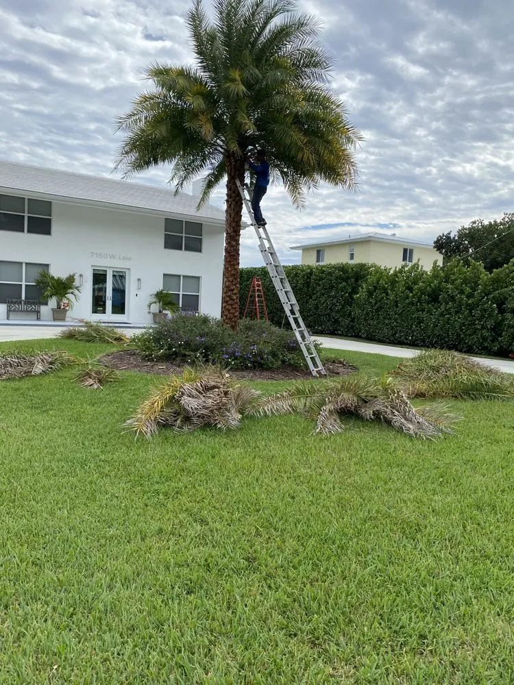 Trusted garden landscaping experts serving Lake Worth, FL - Palm Beach Lawn Care