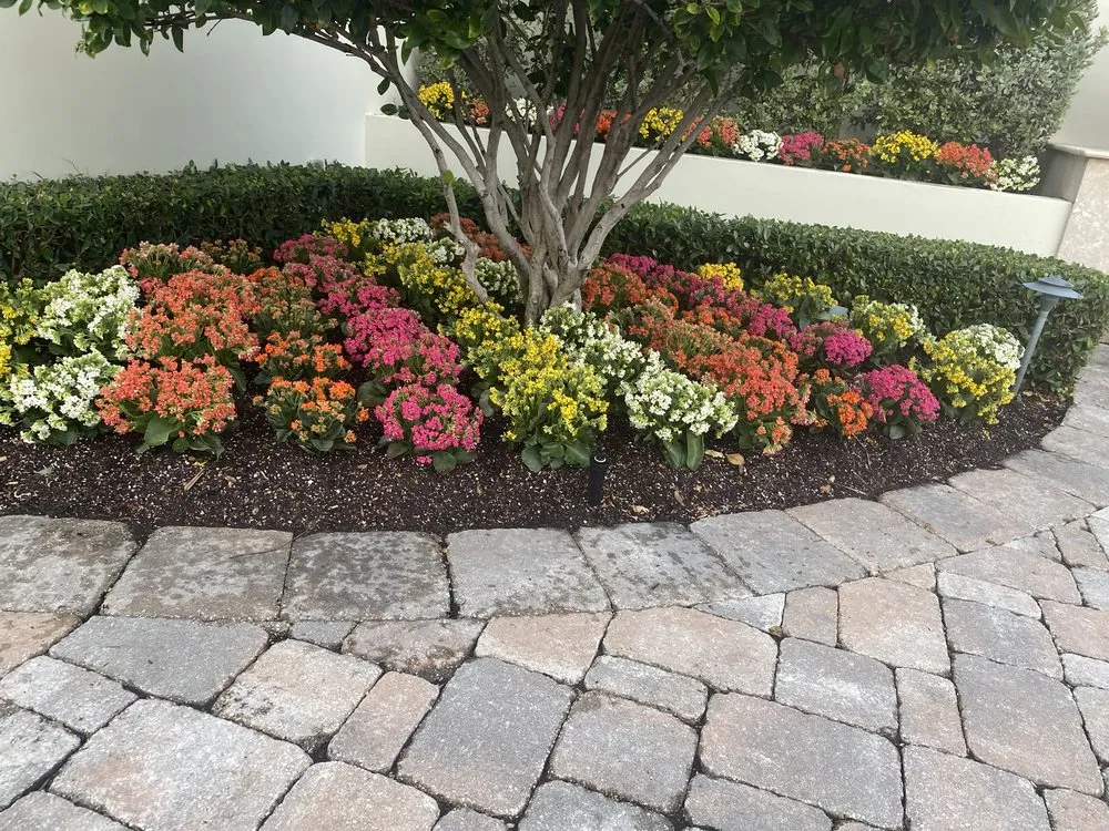 Expert landscaping services experts serving Lake Worth, FL - Palm Beach Lawn Care