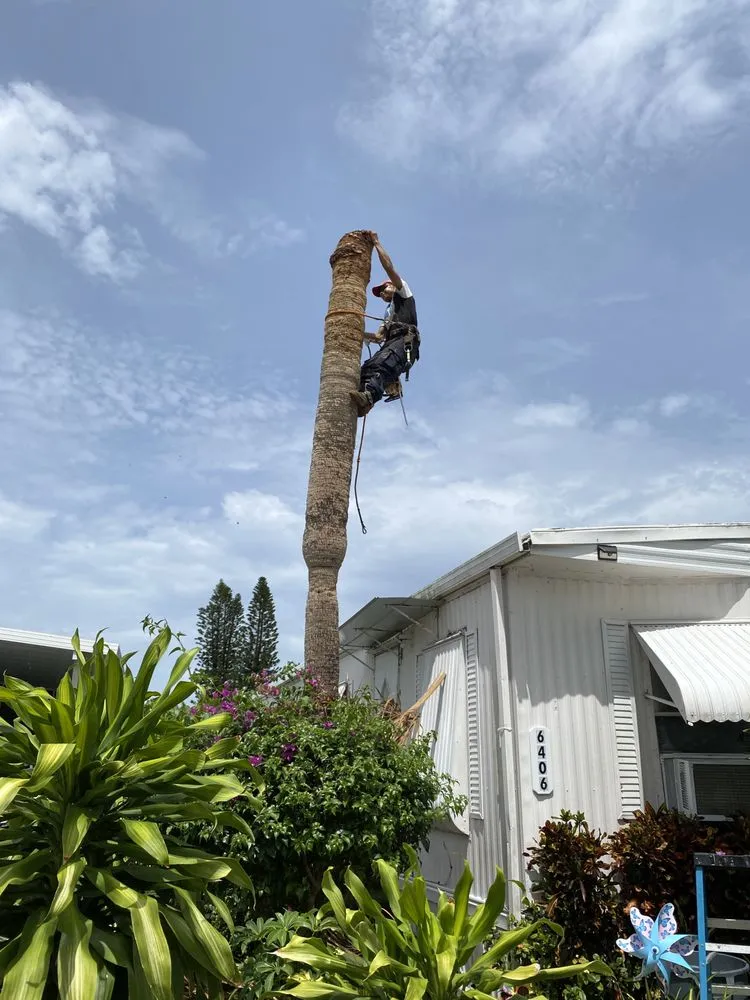 Reliable garden landscaping for outdoor upgrades across Lake Worth, FL - Palm Beach Lawn Care