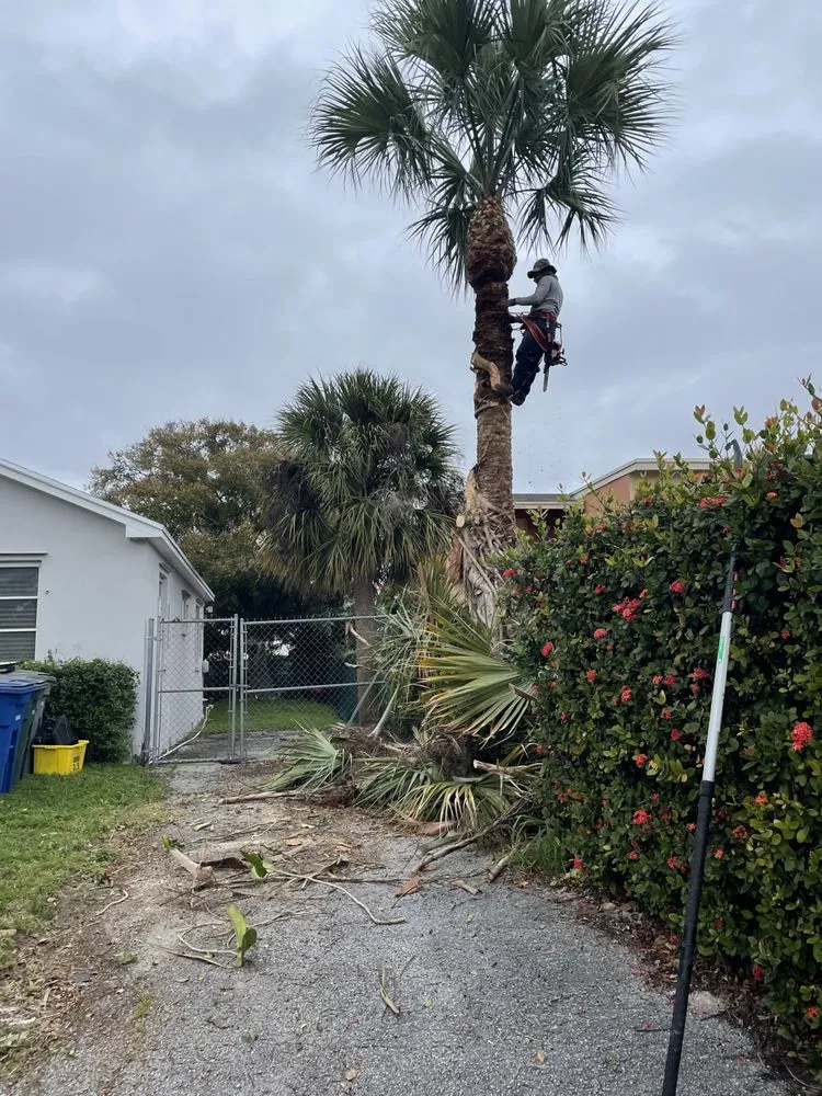 Reliable yard cleanup service for homes across Lake Worth, FL - Palm Beach Lawn Care