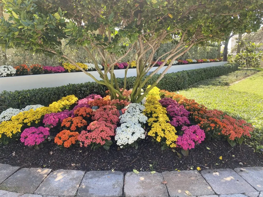 Top-rated yard cleanup service in Lake Worth, FL - Palm Beach Lawn Care