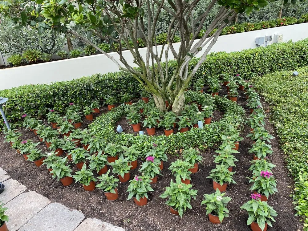 Trusted yard cleanup service with custom design in Lake Worth, FL by Palm Beach Lawn Care