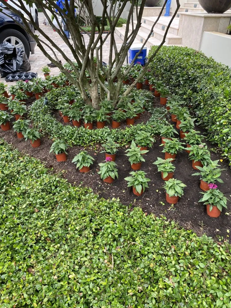 Expert residential landscaping experts serving Lake Worth, FL - Palm Beach Lawn Care