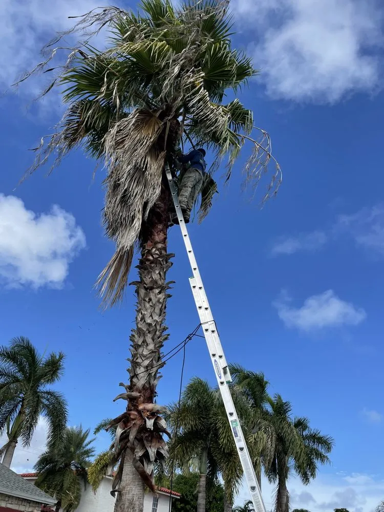 Affordable outdoor landscaping in Lake Worth, FL - Palm Beach Lawn Care