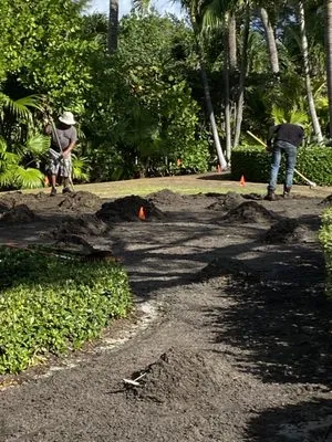 Palm Beach Lawn Care Logo