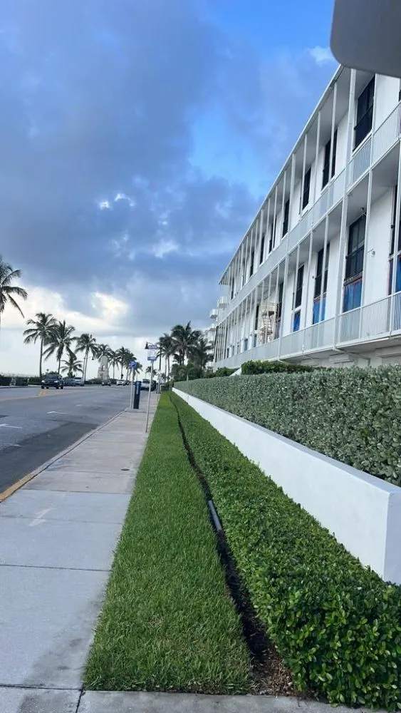 Expert yard maintenance in Wellington, FL - Palm Beach Mini Landcape