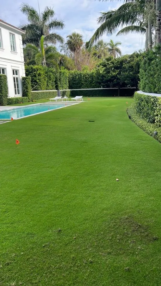 Top-rated yard maintenance experts serving Wellington, FL - Palm Beach Mini Landcape