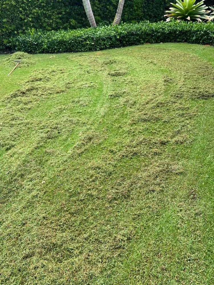 Custom landscape installation experts serving Wellington, FL - Palm Beach Mini Landcape