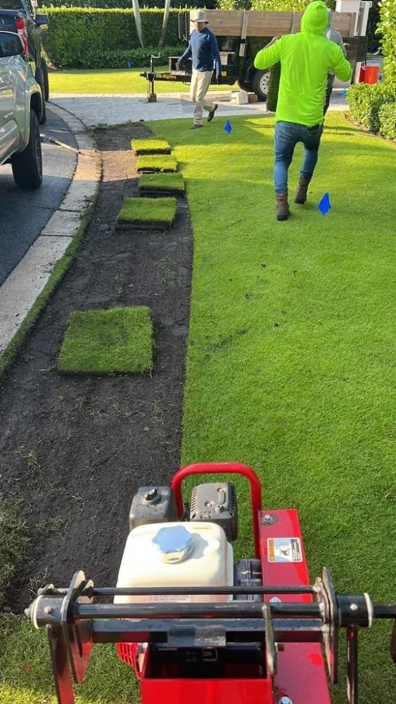 Top-rated yard cleanup service experts serving Wellington, FL - Palm Beach Mini Landcape