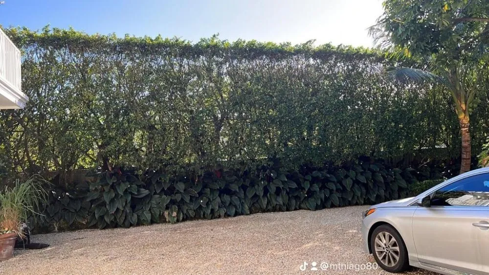 Local lawn care service in Wellington, FL - Palm Beach Mini Landcape