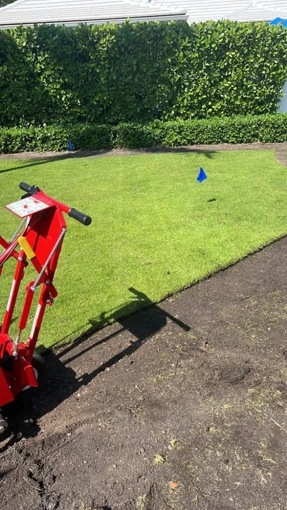 Expert yard maintenance near you across Wellington, FL - Palm Beach Mini Landcape