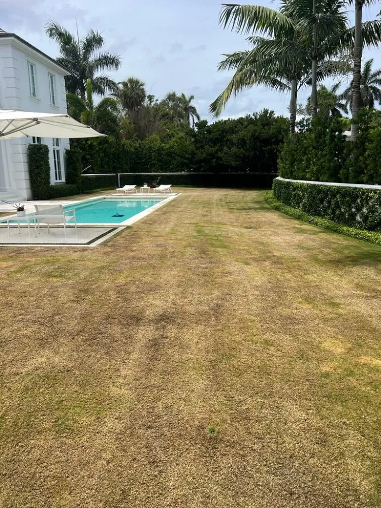 Top-rated yard maintenance with custom design in Wellington, FL by Palm Beach Mini Landcape