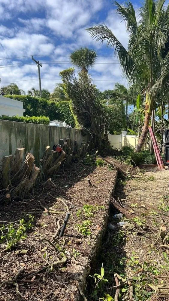 Trusted landscape installation with custom design across Wellington, FL - Palm Beach Mini Landcape