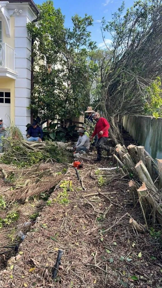 Reliable lawn care service for year-round maintenance in Wellington, FL by Palm Beach Mini Landcape