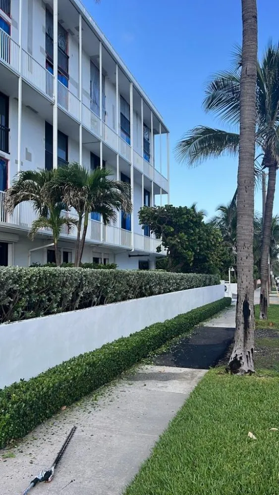 Reliable landscape design experts serving Wellington, FL - Palm Beach Mini Landcape