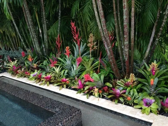 Trusted outdoor landscaping for residential properties in West Palm Beach, FL by Palm Beach Orchids