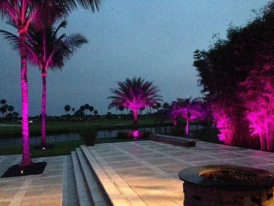 Expert yard cleanup service for homes in West Palm Beach, FL by Palm Beach Orchids