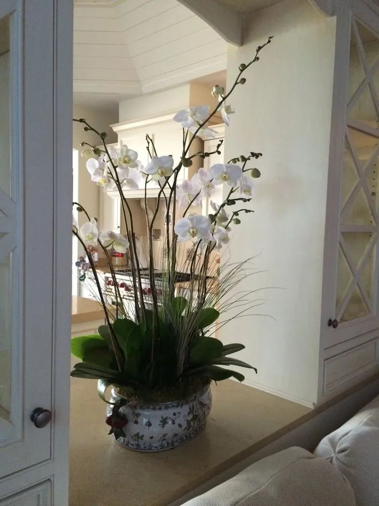 Professional outdoor landscaping with custom design across West Palm Beach, FL - Palm Beach Orchids