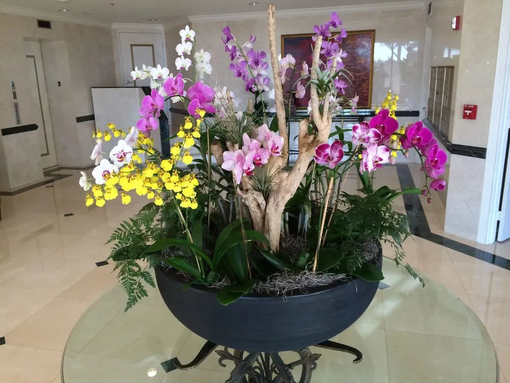 Affordable landscape design experts serving West Palm Beach, FL - Palm Beach Orchids