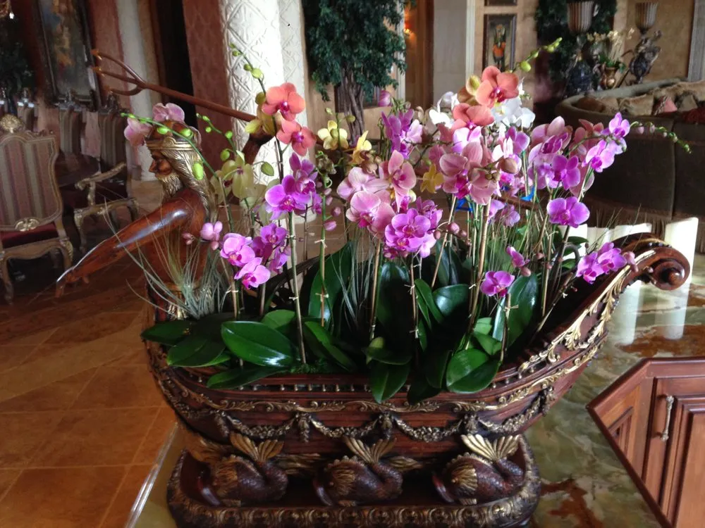 Custom yard maintenance for outdoor upgrades across West Palm Beach, FL - Palm Beach Orchids