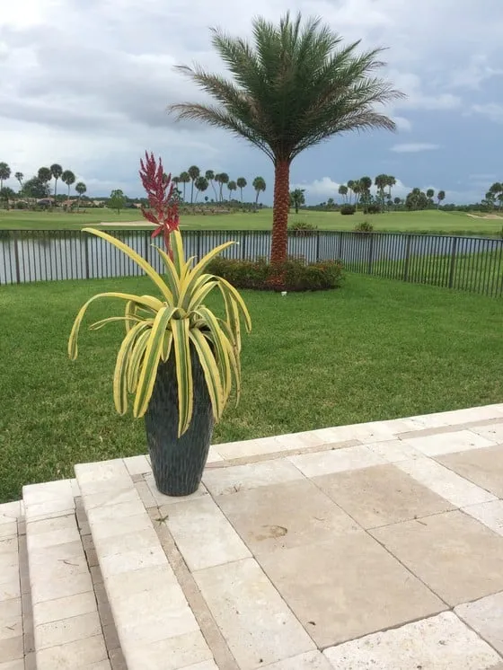 Local landscape design in West Palm Beach, FL by Palm Beach Orchids
