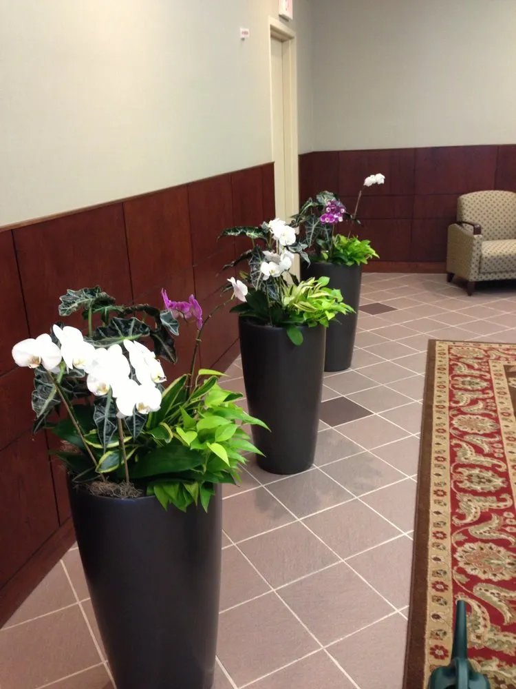 Custom lawn mowing service in West Palm Beach, FL by Palm Beach Orchids