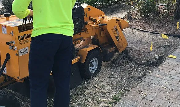 Reliable yard maintenance experts serving Loxahatchee Groves, FL - Palm Beach Tree & Landscape