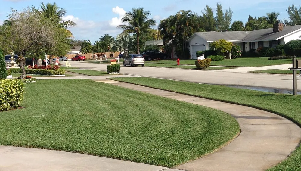 Reliable yard cleanup service with custom design across Loxahatchee Groves, FL - Palm Beach Tree & Landscape